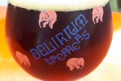 Bierfest2017_Delirium2