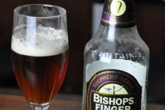 BishopsFinger